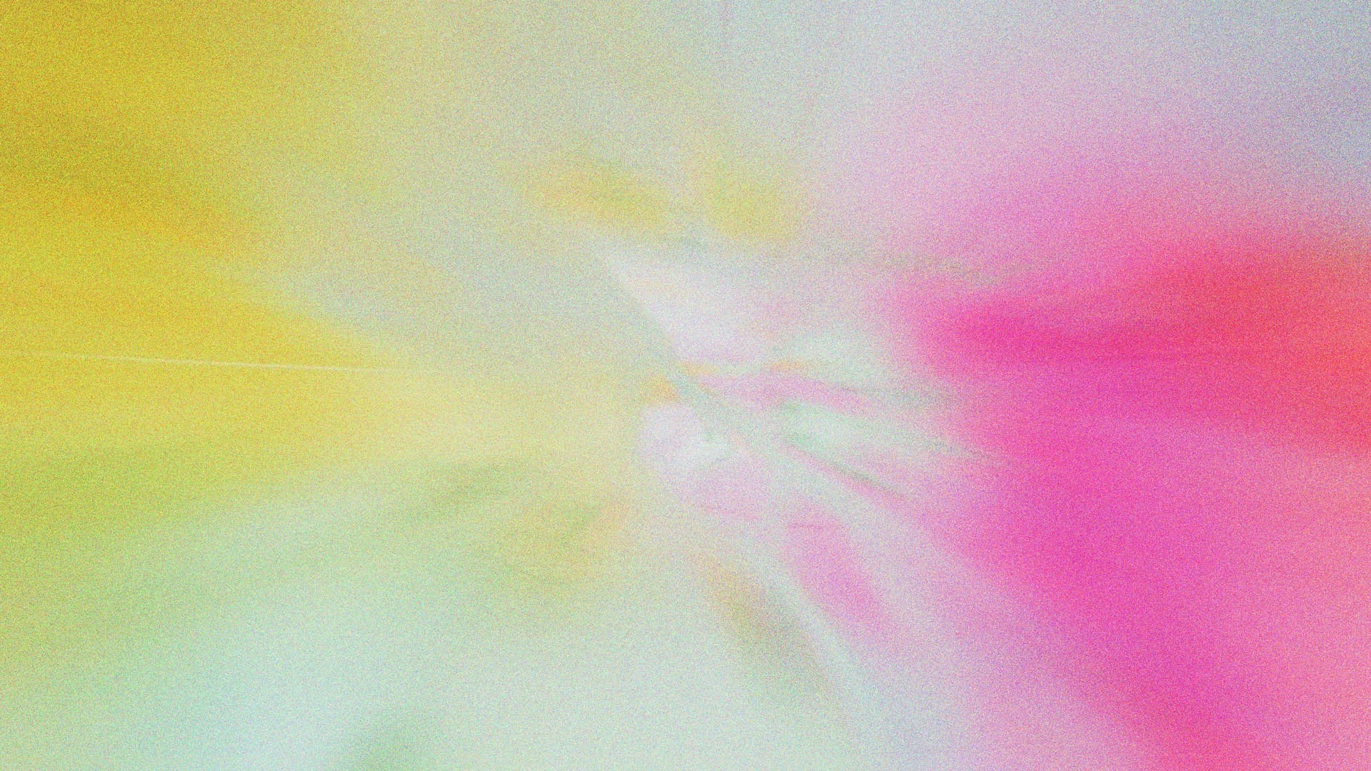 Setting Up Your Organization