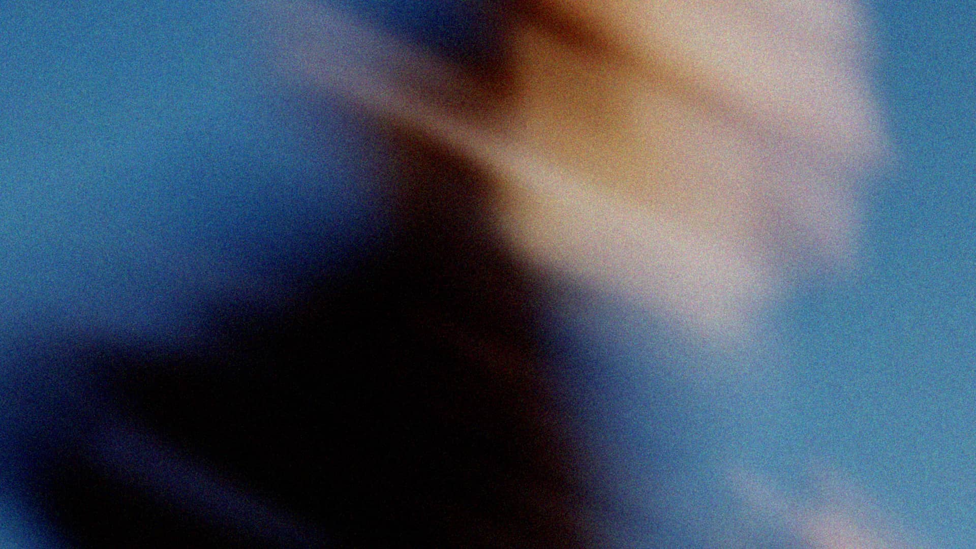 Introducing Reportable Conduct Management in Diversity Sync'd