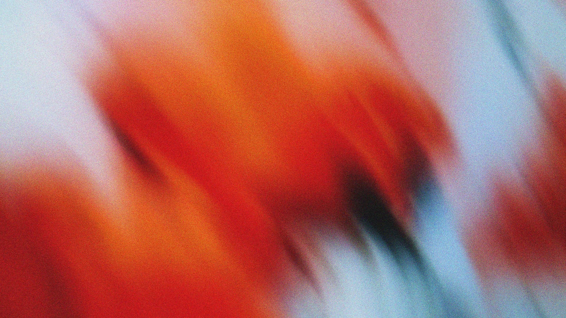 Rostering Dashboard Background